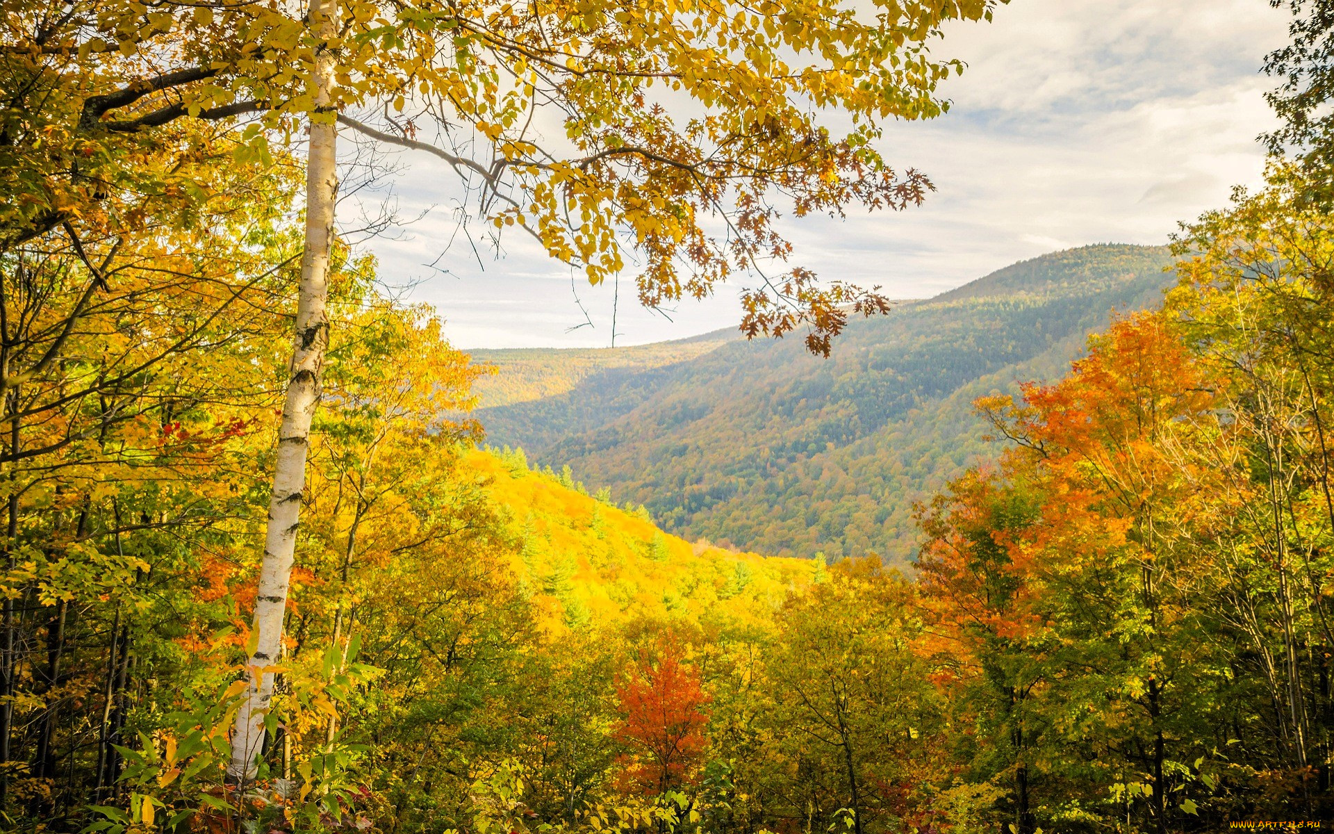 �������, ����, ���, �����